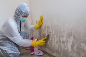 Best Mold Removal for HVAC Installations  in Daingerfield, TX